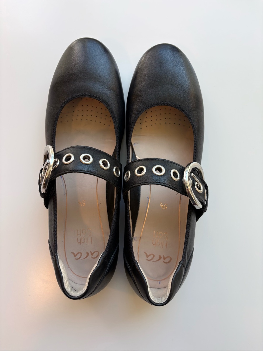 Begonia Flats